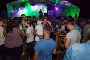 bissinger sommerfest 17.07.15