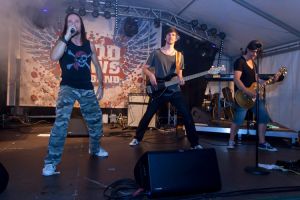 bissinger sommerfest 18.07.15